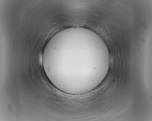 X0000111160046200906301107