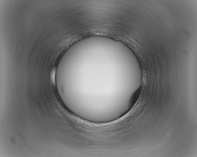 X0000111160047200906301107