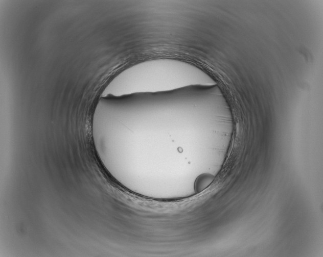 X0000111160048200906301107