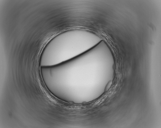 X0000111160049200906301106