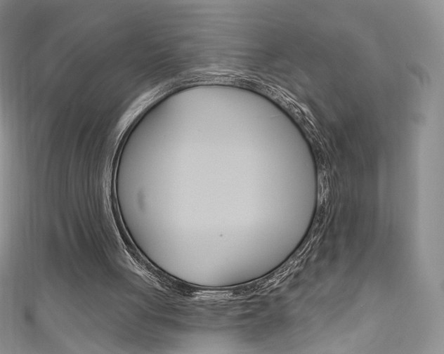 X0000111160051200906301106