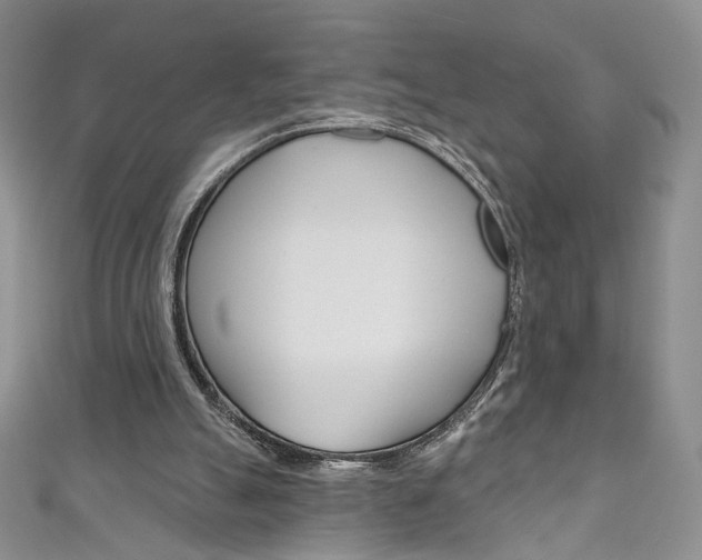 X0000111160055200906301106