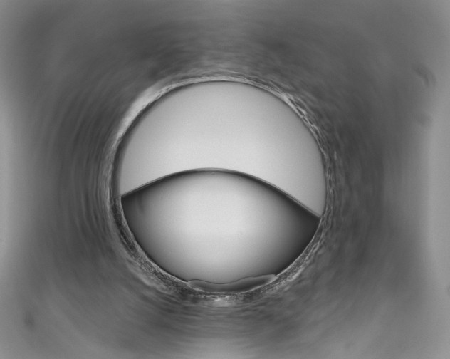 X0000111160056200906301106
