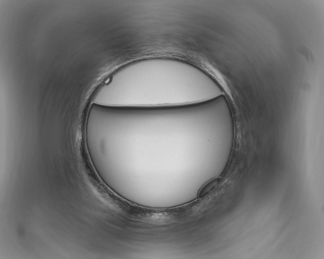 X0000111160059200906301106