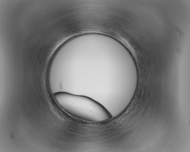 X0000111160060200906301106