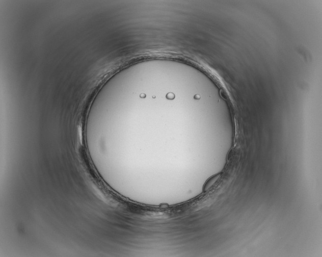 X0000111160061200906301106