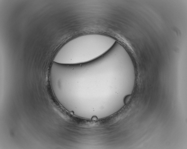 X0000111160065200906301106