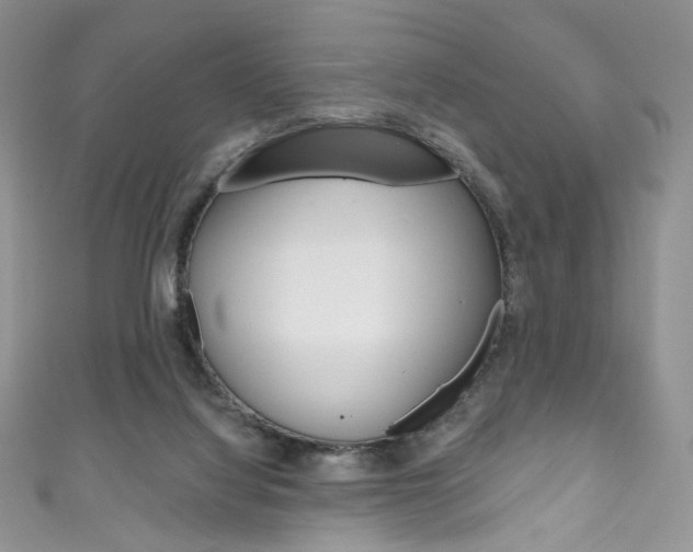 X0000111160068200906301106