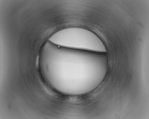 X0000111160070200906301106