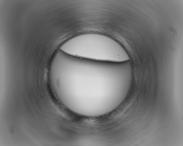 X0000111160071200906301106