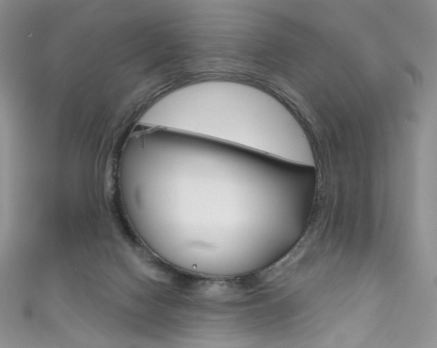 X0000111160074200906301106