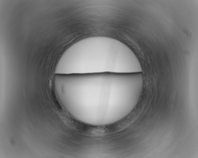 X0000111160075200906301107