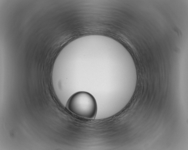 X0000111160076200906301107