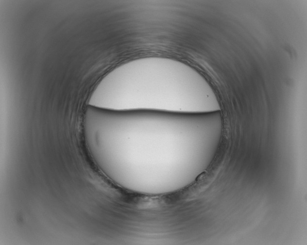 X0000111160077200906301107