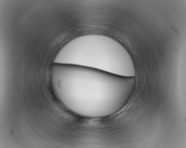 X0000111160078200906301107