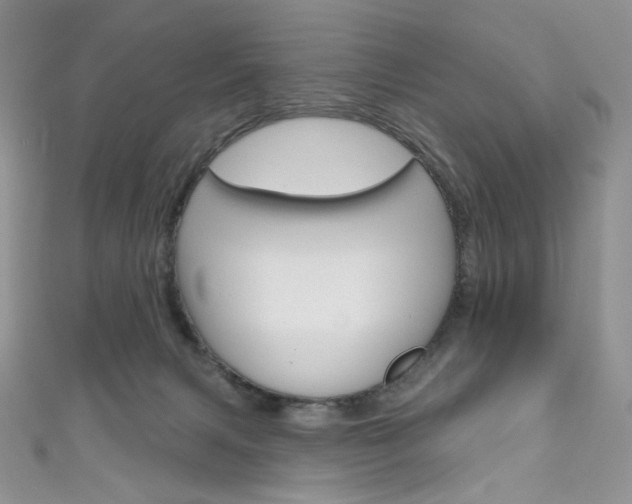 X0000111160079200906301107