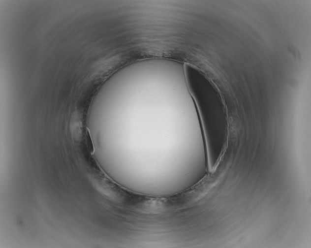 X0000111160080200906301107