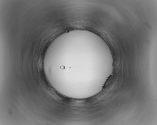 X0000111160081200906301107