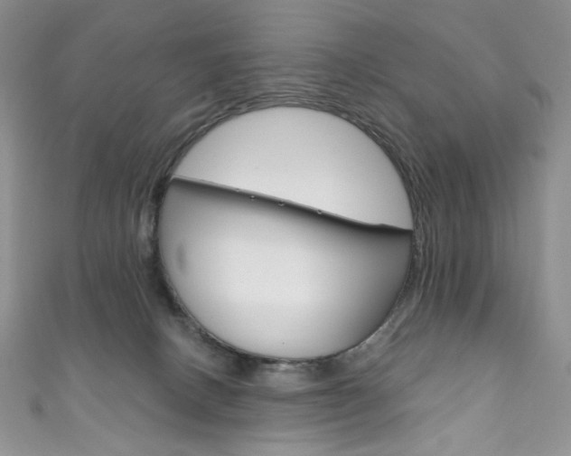 X0000111160082200906301107