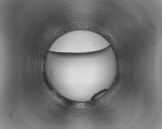 X0000111160083200906301107