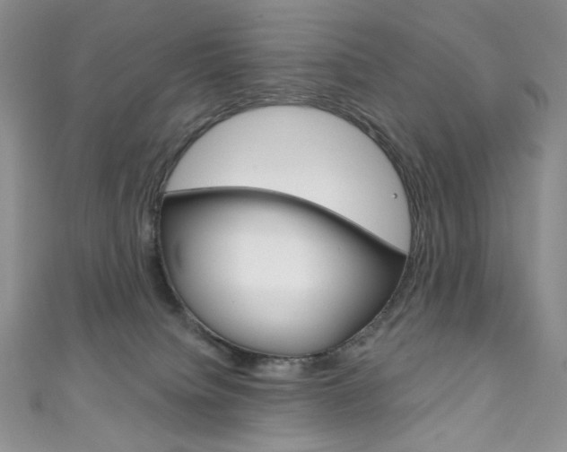 X0000111160084200906301107