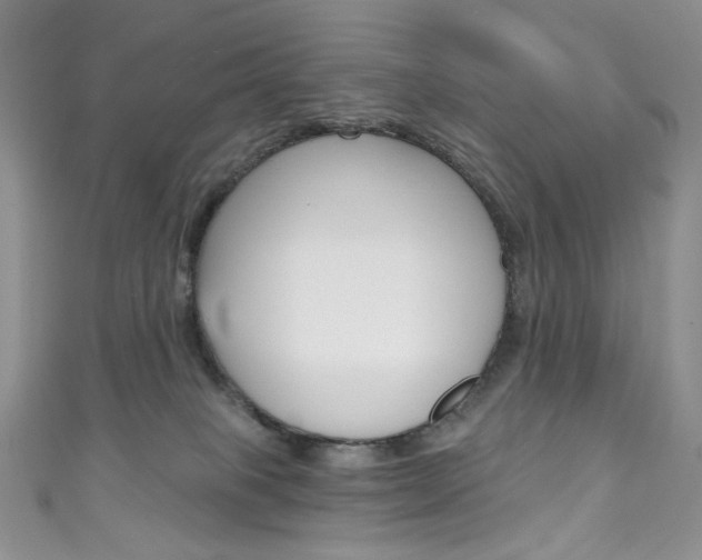 X0000111160085200906301107