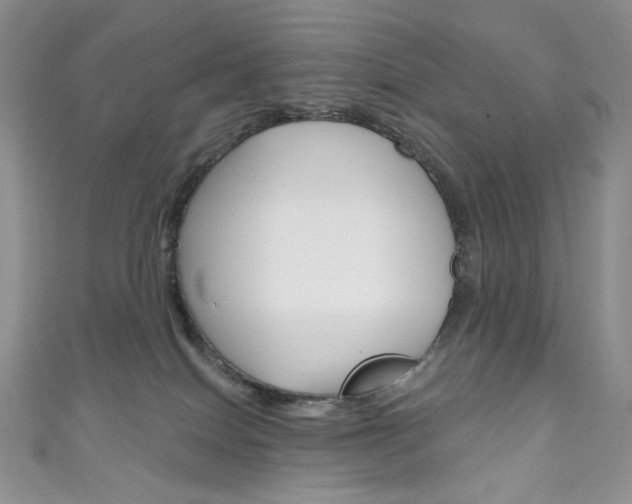 X0000111160086200906301107