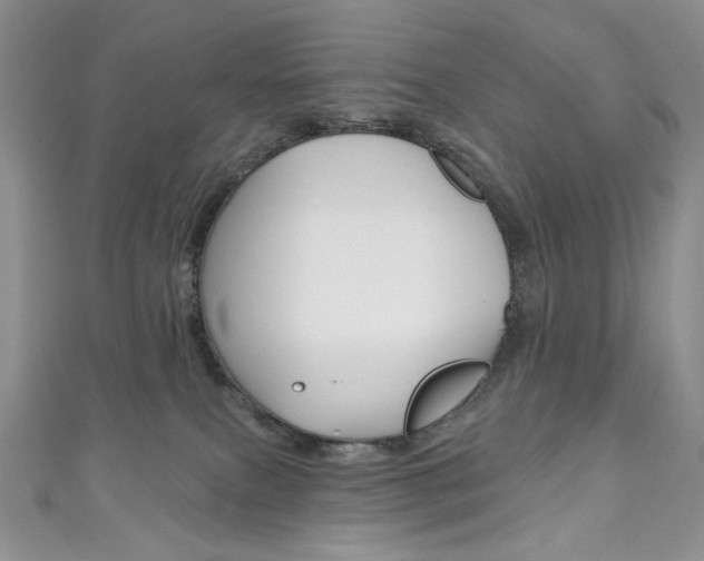 X0000111160087200906301107
