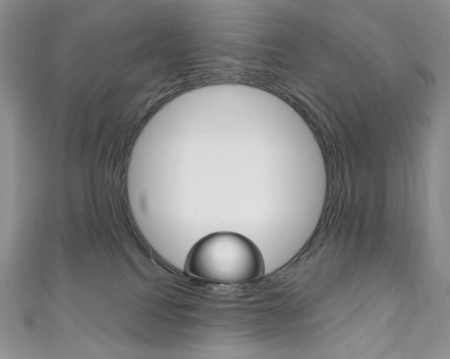 X0000111160088200906301107