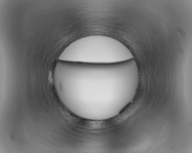 X0000111160089200906301107