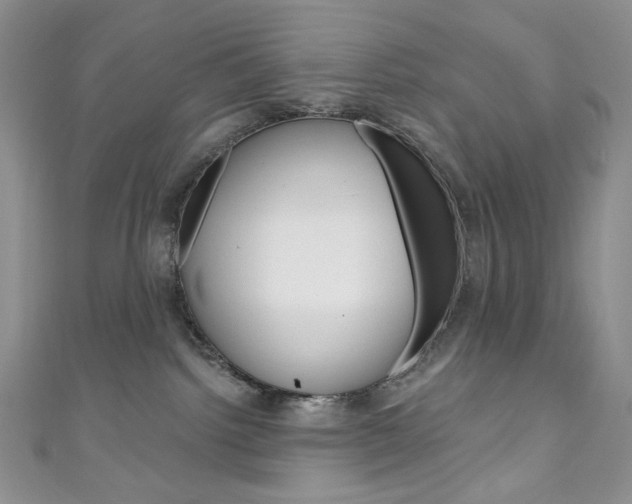 X0000111160092200906301107