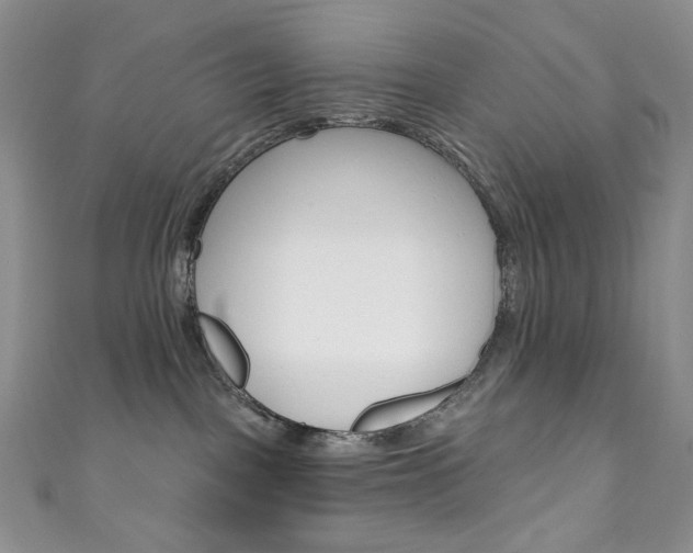 X0000111160093200906301107