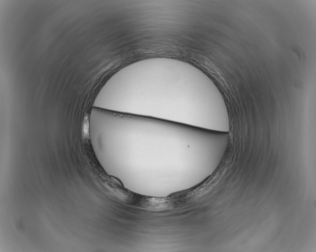 X0000111160095200906301107