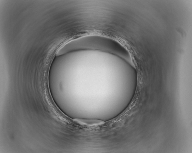 X0000111160097200906301106