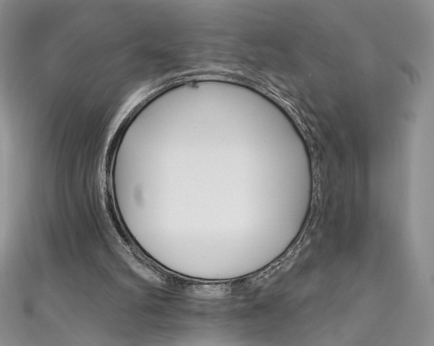 X0000111160102200906301106
