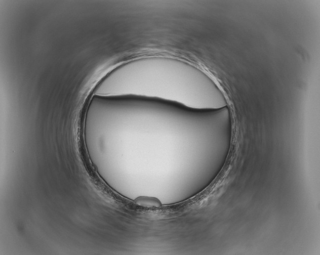 X0000111160103200906301106
