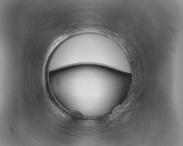 X0000111160104200906301106
