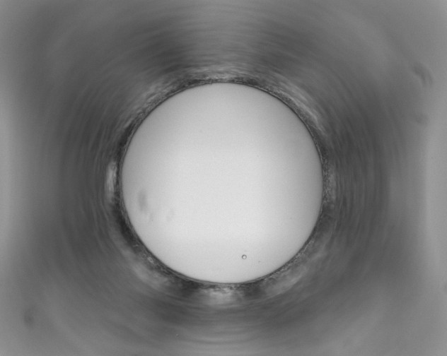 X0000111160118200906301106