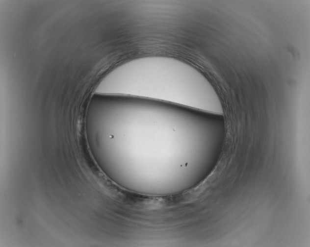 X0000111160124200906301106