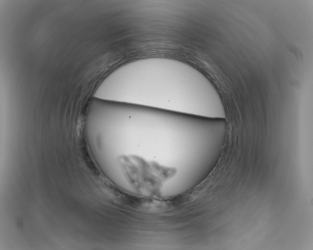 X0000111160125200906301106