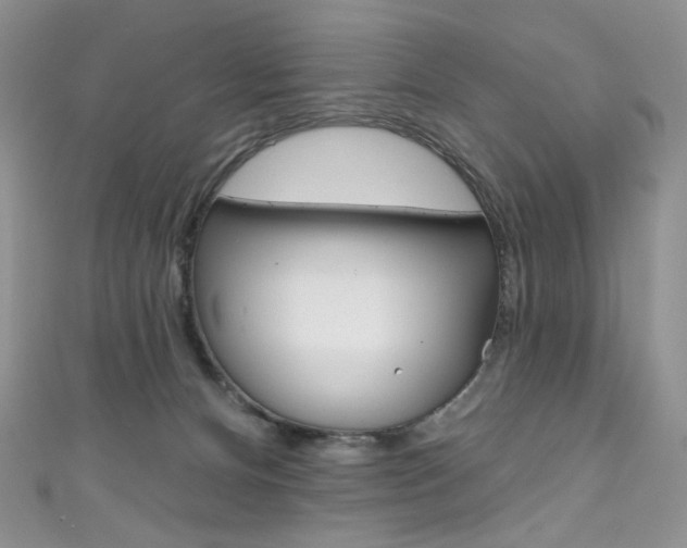 X0000111160128200906301106