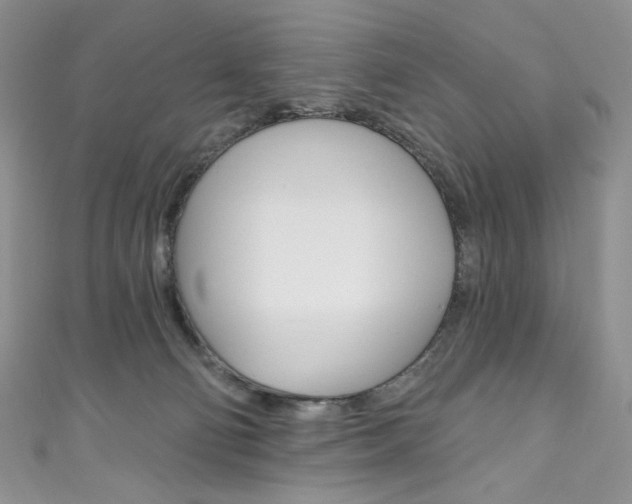X0000111160130200906301106