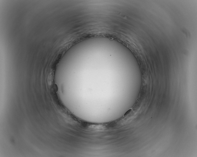 X0000111160133200906301106