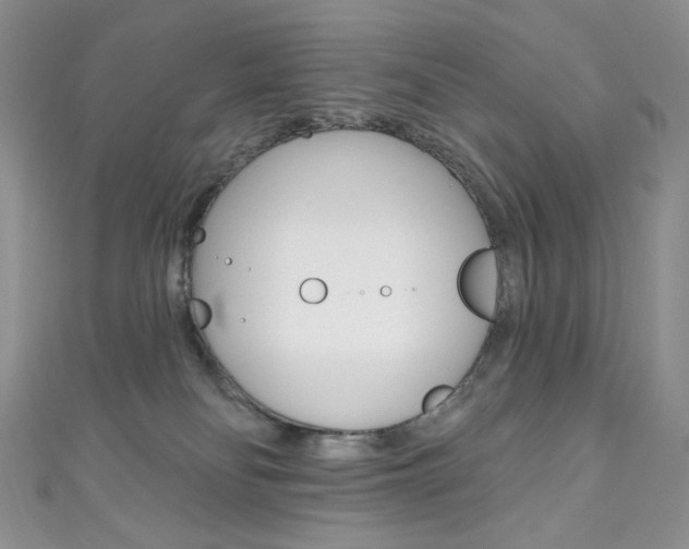 X0000111160134200906301106
