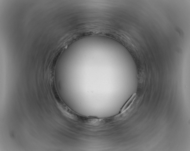 X0000111160136200906301106