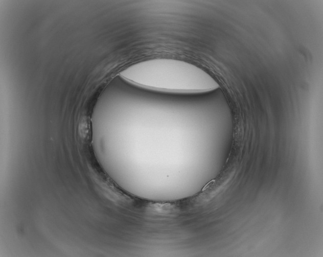 X0000111160137200906301106