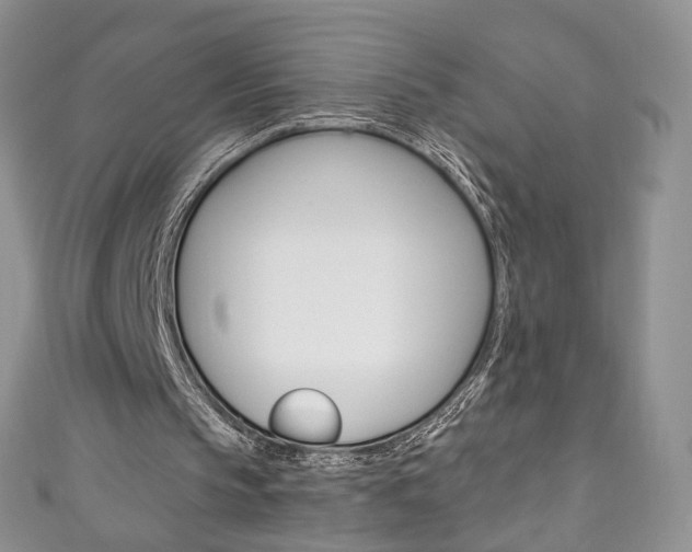 X0000111160145200906301105