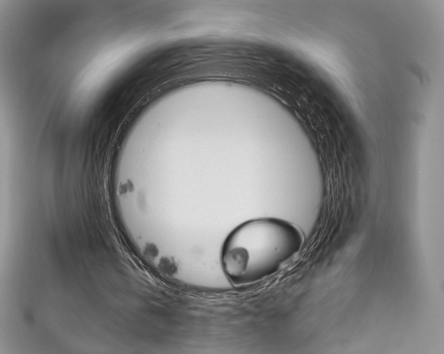 X0000111160146200906301105
