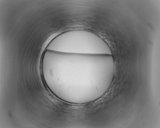 X0000111160147200906301105
