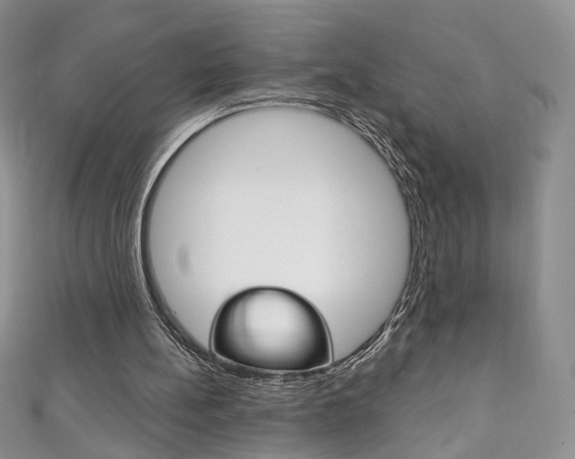 X0000111160148200906301105